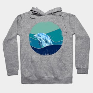 Tie Dye Dolphin Hoodie